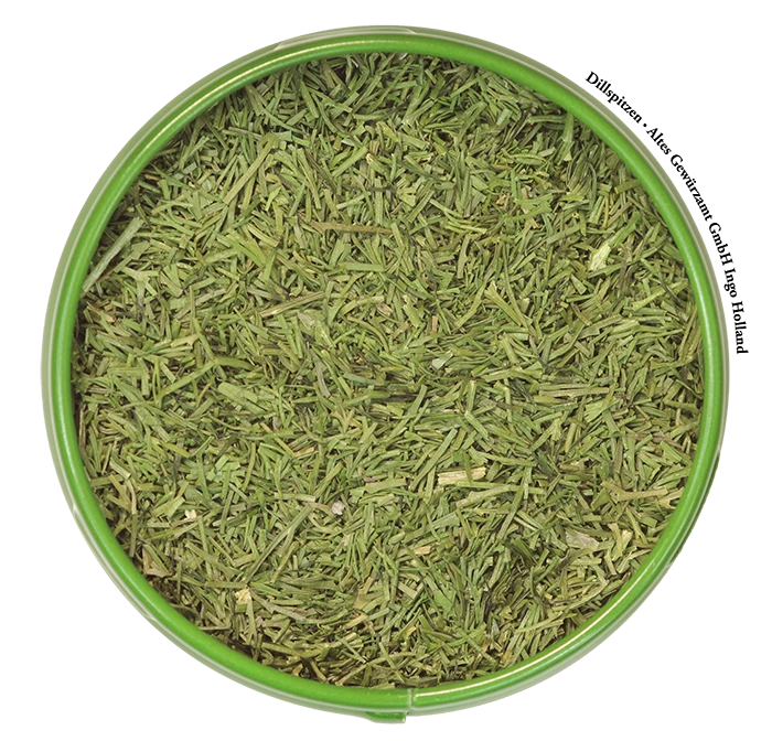 Dillspitzen Gefriergetrocknet 2 Dillspitzen Gefriergetrocknet – Bild 2