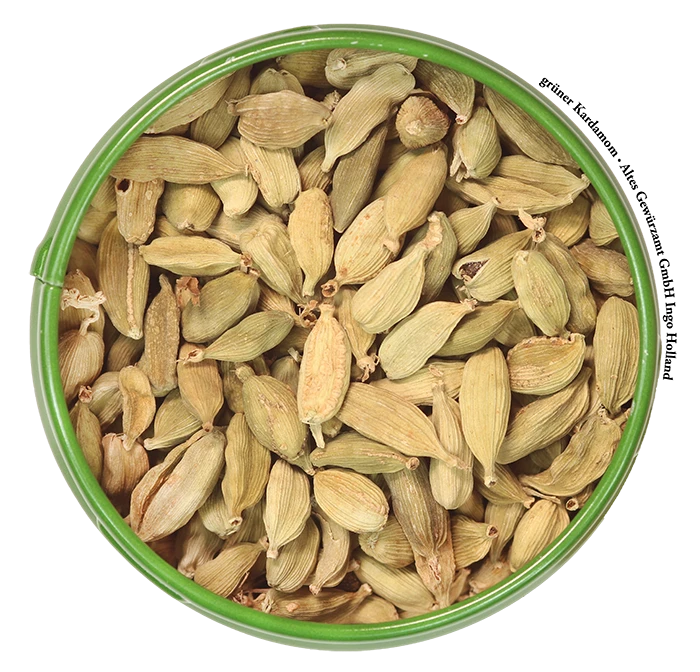 Grüner Kardamom 2 Grüner Kardamom – Bild 2