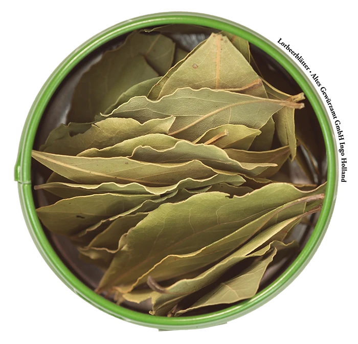 Lorbeerblätter 2 Lorbeerblätter – Bild 2