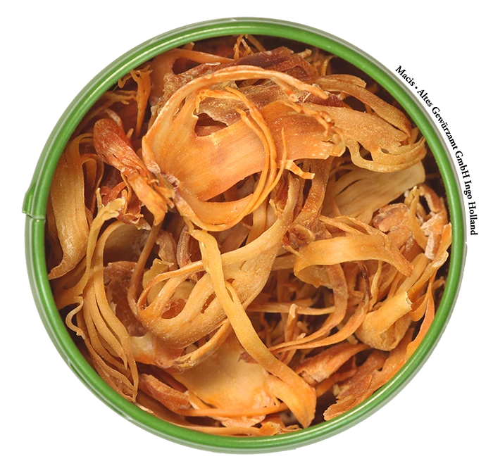 Macis / Muskatblüte Ganz 2 Macis / Muskatblüte Ganz – Bild 2