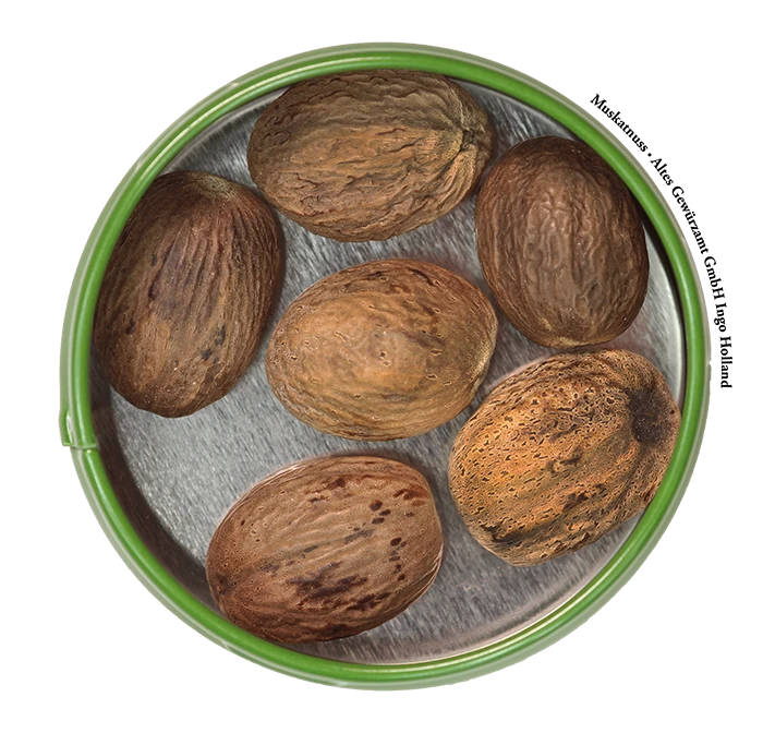 Muskatnuss 2 Muskatnuss – Bild 2