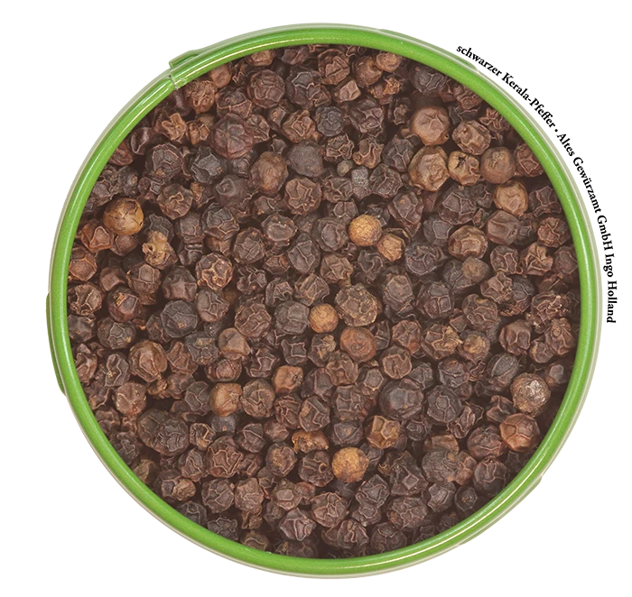 Kerala-Pfeffer Schwarz 2 Kerala-Pfeffer Schwarz – Bild 2