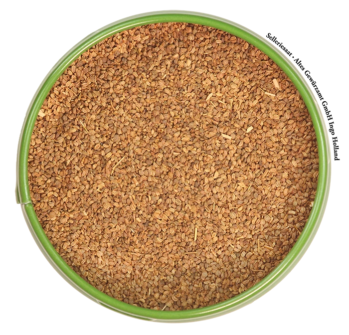 Selleriesamen Ganz 2 Selleriesamen Ganz – Bild 2