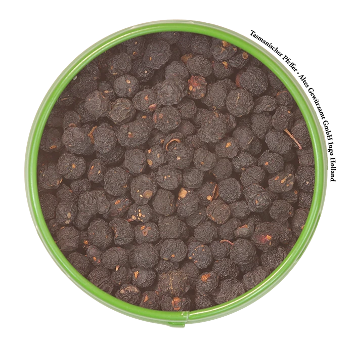 Tasmanischer Pfeffer 2 Tasmanischer Pfeffer – Bild 2