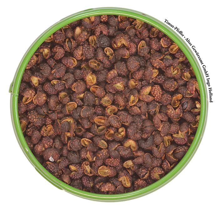 Timut Pfeffer 2 Timut Pfeffer – Bild 2