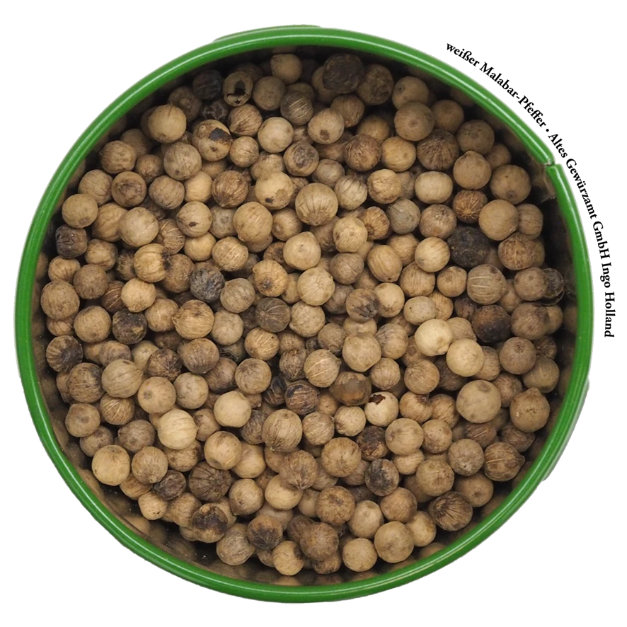 Malabar-Pfeffer Weiß 2 Malabar-Pfeffer Weiß – Bild 2