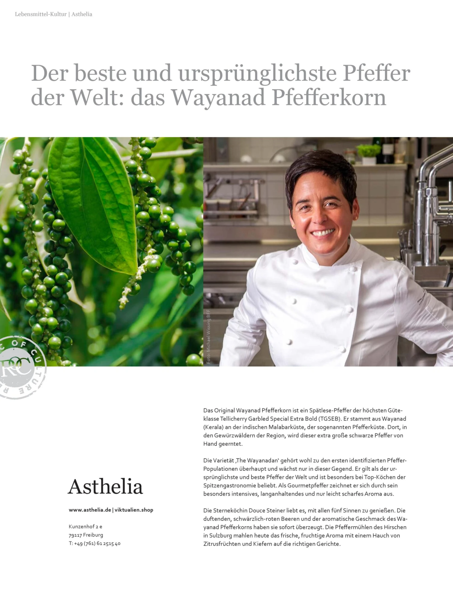 Wayanad-Pfeffer Weiß 5 Wayanad-Pfeffer Weiß – Bild 5