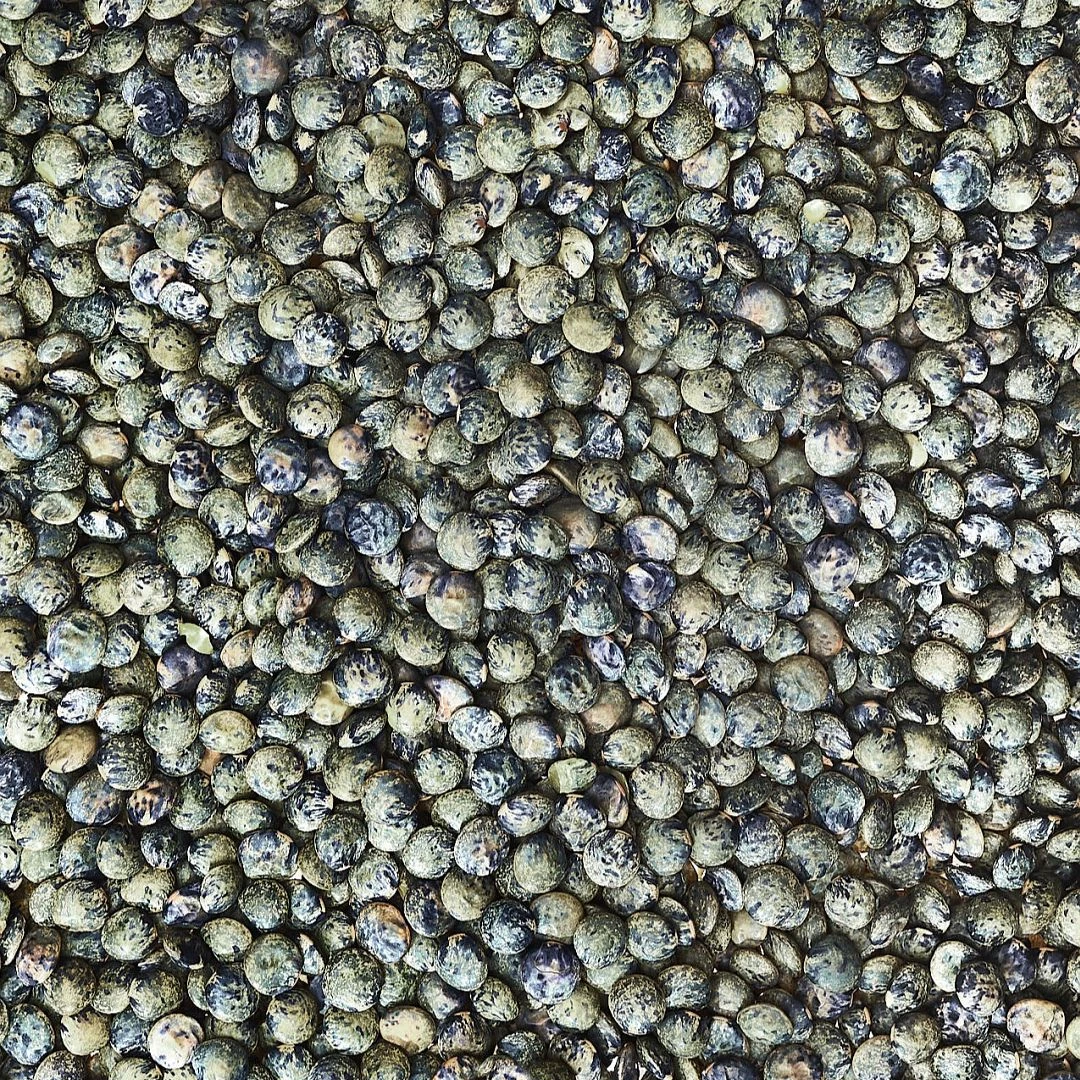 Dunkelgrün Marmorierte Linse 2 Dunkelgrün Marmorierte Linse – Bild 2