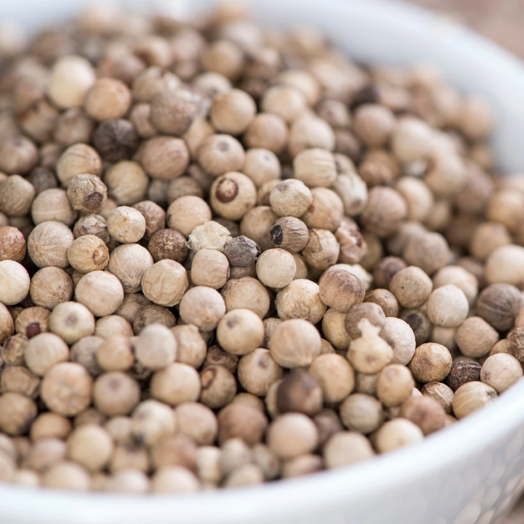 Wayanad-Pfeffer Weiß 3 Wayanad-Pfeffer Weiß – Bild 3