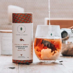 Cinnamon Spice -Würze Verkäufe 2024 ttc bt cinnamon spice hero 1080sq